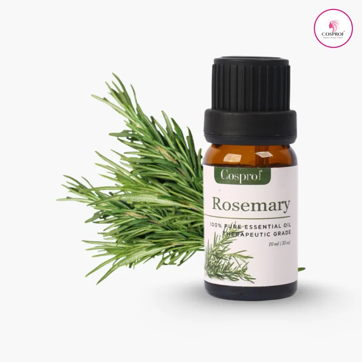 BDyana Cosprof Rosemary Essential Oil 10ml (Copy) | null