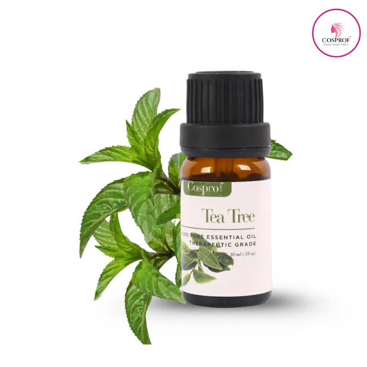 BDyana Cosprof Tea Tree Essential Oil for Aromatherapy 10ml | null
