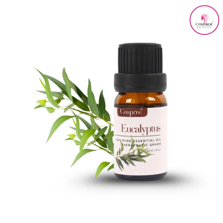 BDyana Cosprof Eucalyptus Essential Oil 10ml | null